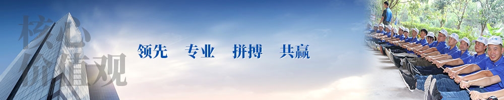 贝迪文化banner2